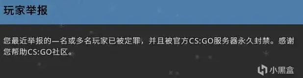 📚steam全面使用指南Ⅰ：等级、升级、红信及各种冷门使用知识插图11