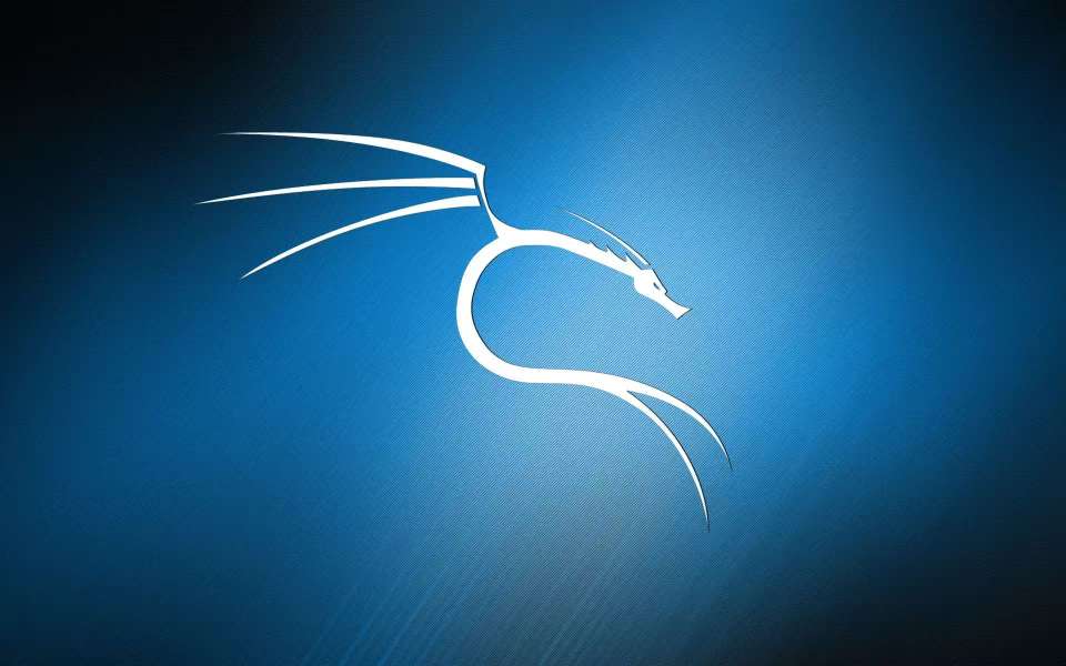 黑客必备Kali Linux系统安装教程(含系统下载)插图 黑客必备Kali Linux系统安装教程(含系统下载)插图